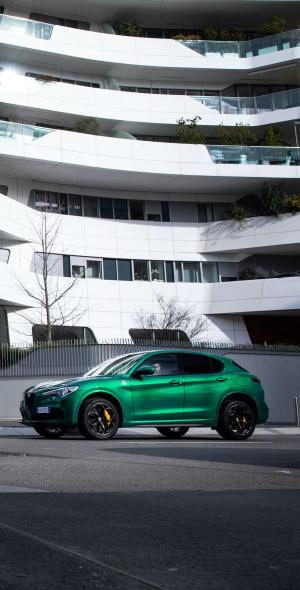 Alfa Romeo Stelvio Quadrifoglio 2020 года  (WW)